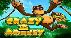 Crazy Monkey 2