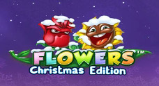 Flowers Christmas