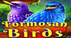 Formosan Birds