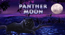 Panther Moon