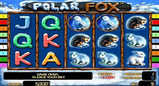 PolarFox