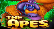 The Apes