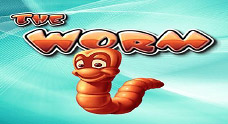 Worm